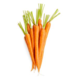 Carrots (Daucus carota subsp. sativus)