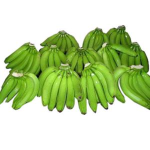 Cavendish Banana (Musa acuminata Cavendish Subgroup)